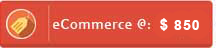 Ecommerce Website Design Company in Mumbai